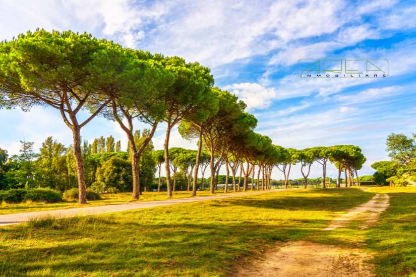 scopri il parco regionale di migliarino san rossore massaciuccoli